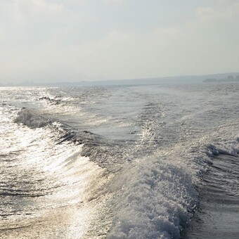 Joaquin Bravo Toledo