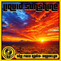 Balearic House - Sunset Glow and Moonlight Flow - Liquid Sunshine @ The Face Radio - Show #264 by Liquid Sunshine