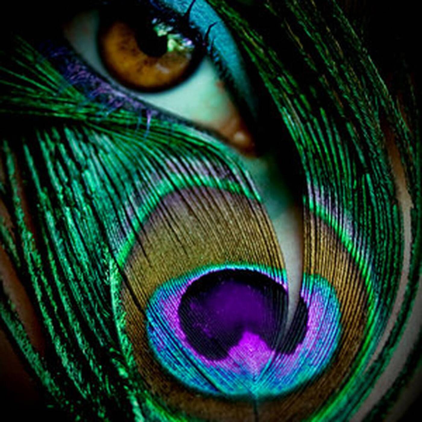Anonymous Music » German Hip Hop Mix32 episode artwork
