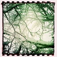 The craftsman is great, but the blikfang is not cunning enough. by SIRQBASS