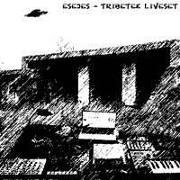 Esejes - tribetek live set 19022021 by ESEJES