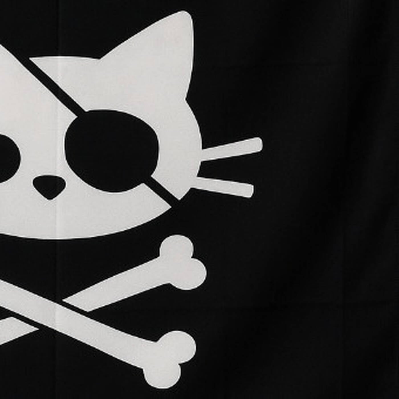 12os Pithikos feat ETHISMOS - PIRATES ( Saverios flip mix) episode artwork