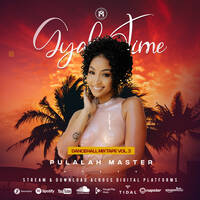 GYAL TIME DANCEHALL MIXTAPE VOL. 3 (EXPLICIT) - PULALAH MASTER by Pulalah Master