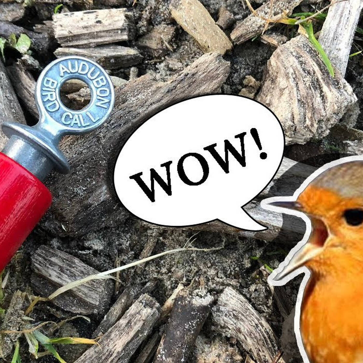 biRD CaLL