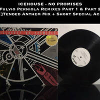 Icehouse - No Promises ( FP E[XXX]Tended Anthem Mix ) (Snippet) by TEST PRESSING