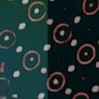 Wooden Horse - agitation/myrh by taRka