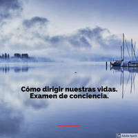 Como dirigir nuestras vidas. Examen de conciencia. by Hogares de Santa María
