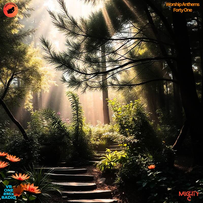 VR ONE Mix Radio