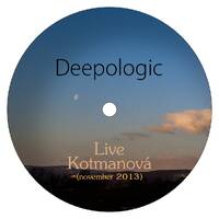 Deepologic - Live at Kotmanova (november 2013) by Deepologic