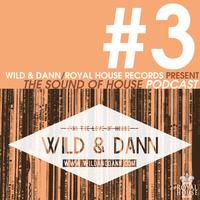 The Sound of House #3 podcast with Seelen by Wild & Dann