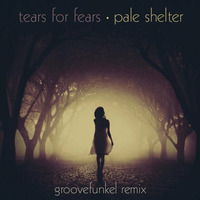 Tears for Fears - Pale Shelter (Groovefunkel Remix) by groovefunkel