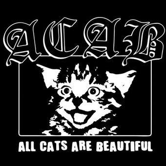 Maarten Menaz Vandenbroeck