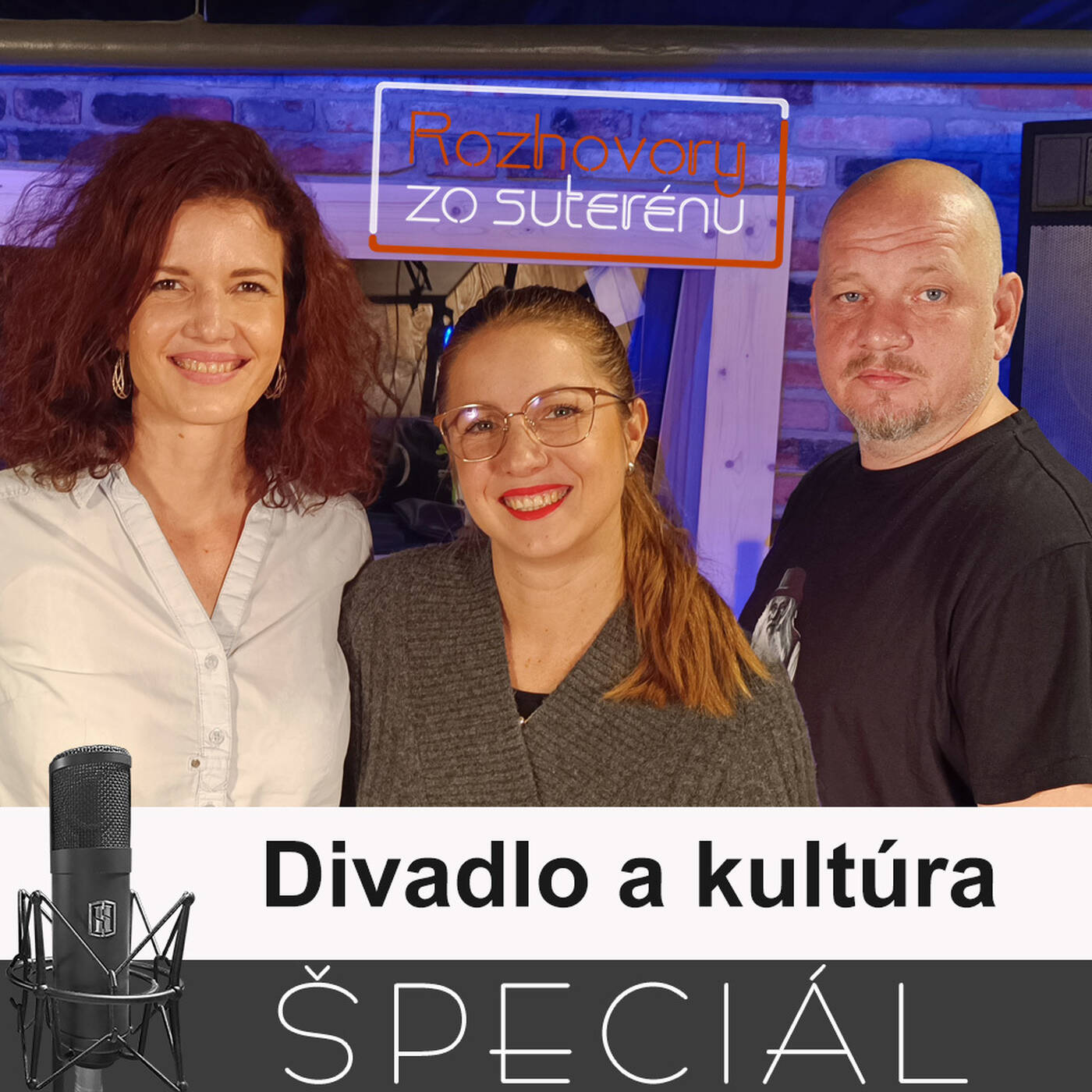 Rozhovory zo suterénu 22 - Divadlo a kultúra (ŠPECIÁL, F. Držík, L. Valentíniová, L. Kúdelová) episode artwork