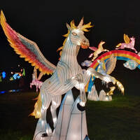 ITW - Thierry Bouglionne, créateur de l'Odysée lumineuse by Frequence Sillé