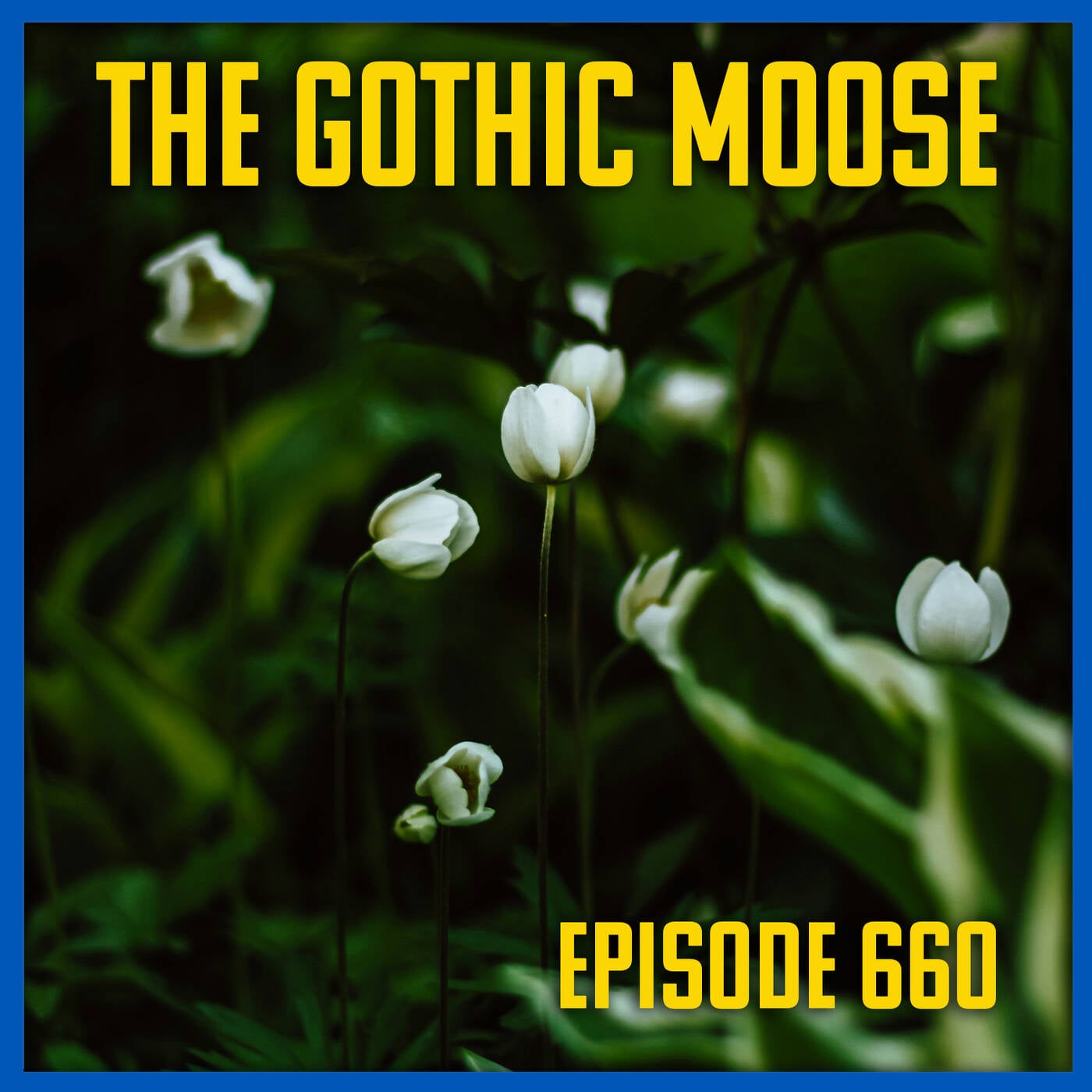 Play The Gothic Moose – Episode 660– 🇺🇦 Mostly Bands Supporting Ukraine 🇺🇦