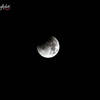 Brabant Flamand Vlaams