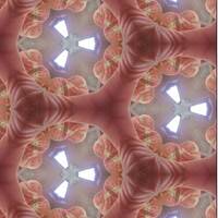 Wirrsingwäldchen 03/2017 by Shane