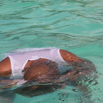 Maikarabelo Motokolo