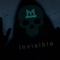 Invisible by emuziek