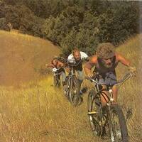 24 KARAT HOUSE 01 by GOODALL