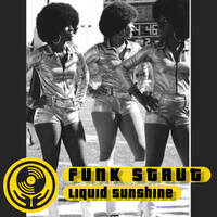 Deep Funk Strut - Liquid Sunshine @ The Face Radio - Show #102 - 05-04-2022 by Liquid Sunshine
