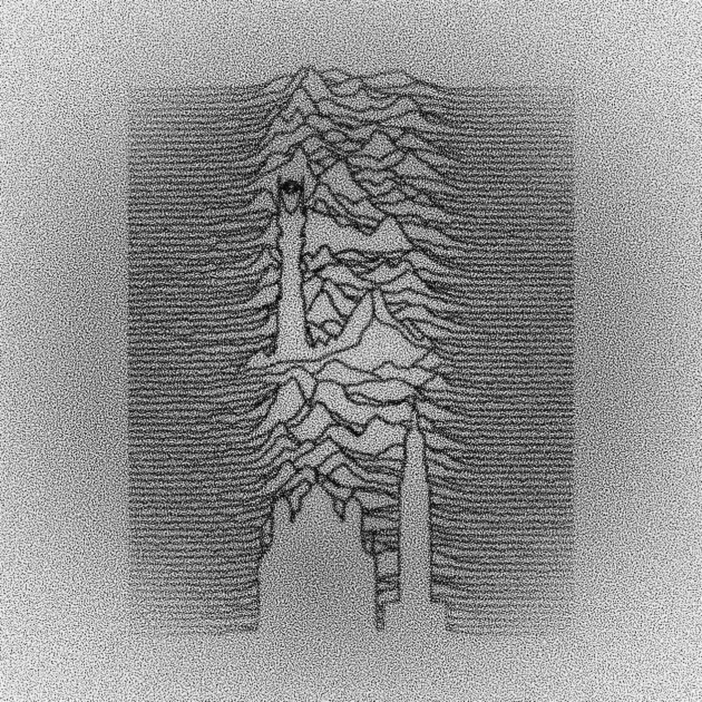 no fun 17 - hannes fass & andreas niedermeier - 18.12.20 episode artwork