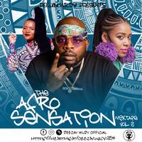 DJ WILDY _ THE AFRO SENSATION MIXTAPE Vol.2 (OFFICIAL AUDIO MIXTAPE) by Wildy_Ke
