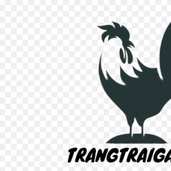 Trang Trại G&agrave; OP