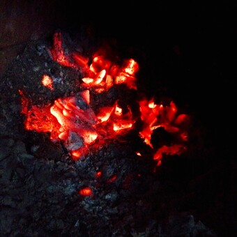 Natalie Stelmashchuk