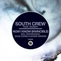 South Crew ft Diviniti-Now I Know (Mannix Underground Vocal) Snippet by MANNIX