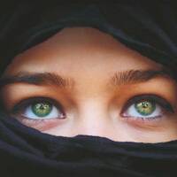 Fragmente din cărți