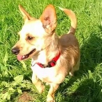 Bernd R&Atilde;&frac14;hl