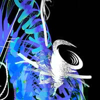 Hovercat - Eddy Playground by Eddy Breaks