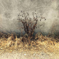 01 anagrama by Atilio Doreste