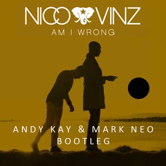 Andy Kay &amp; Mark Neo