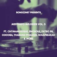 Midtempo Melodies Vol. 3 Ft. Chymamusique, Enosoul, Fatso 98, CocSA, Thabang Phaleng, SoulFreakah &amp; More by bongzin87