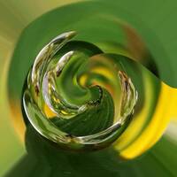 Elekaranoxys by Gérard Delassus