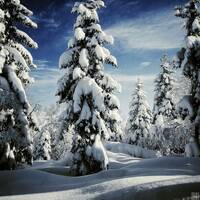 MY LIFE - 69-70 (2º) by FOLLOW ME ONE