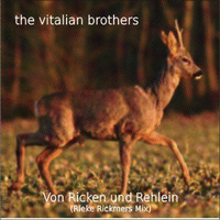 The Vitalian Brothers - Von Ricken und Rehlein (Rieke Rickmers Mix) by LIKEDEELER RECORDINGS