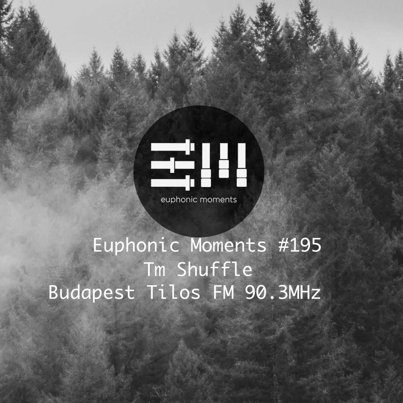 Euphonic Moments # 195 Tm Shuffle episode artwork