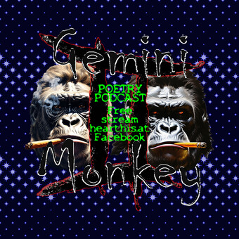 GeminiMonkey (Autor)