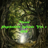 Toxeen - Psychedelic Woods Vol. 1 (2018) by Streebor