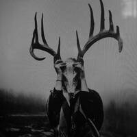 Q LAZZARUS "Goodbye Horses" (𝗞𝗨𝗟𝗧 ◕f 𝗬𝗢𝗨𝗧𝗛 Remix) by SO FASHY MAGAZINE