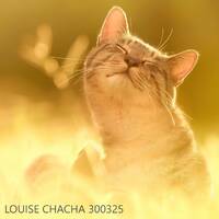 LOUISE CHACHA 300325 by louisechacha