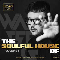 The Soulful House Of Walter G (Volume 1) by Steven DeVois