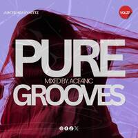 Pure Grooves Vol.27 Mixed By. ACE4NIC [Jun'25 Heavyhittz] by Pure Grooves Music SZ