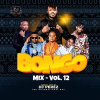 DJ Perez - Bongo Jaro mix 2022 RH EXCLUSIVE by Haniel