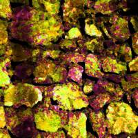 Opus incertum (P) by Gérard Delassus