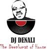 Denali Da Dip