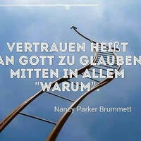 Gott vertrauen lernen - Predigt am 12. Sonntag i. Jkrs., Lj. B - 2024 von P. Christoph Kreitmeir in Ingolstadt by Christoph Kreitmeir